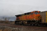 BNSF 5613 Roster shot.